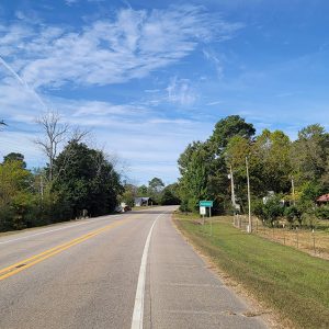 Country highway with trees and a few buildings on both sides